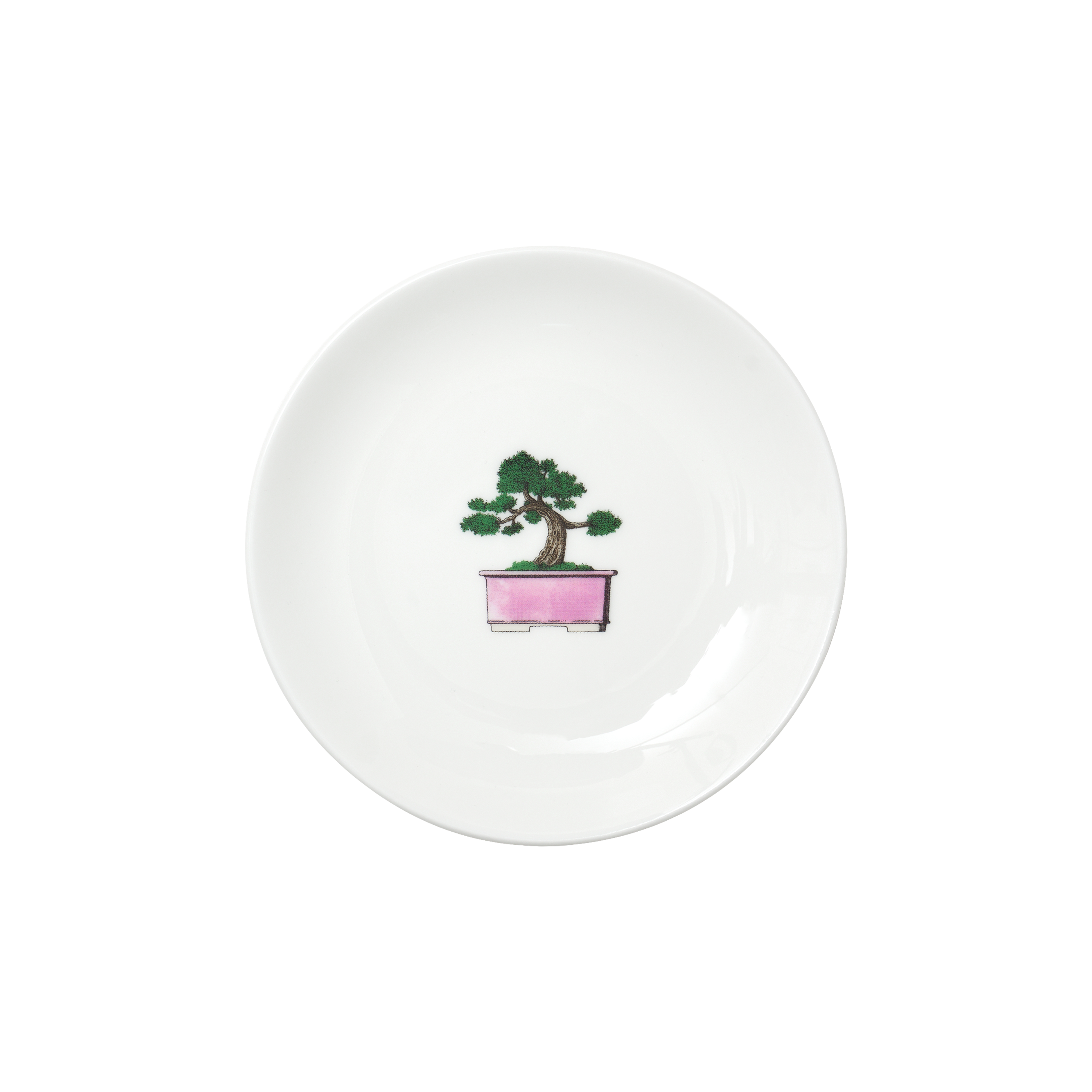 Bonsai