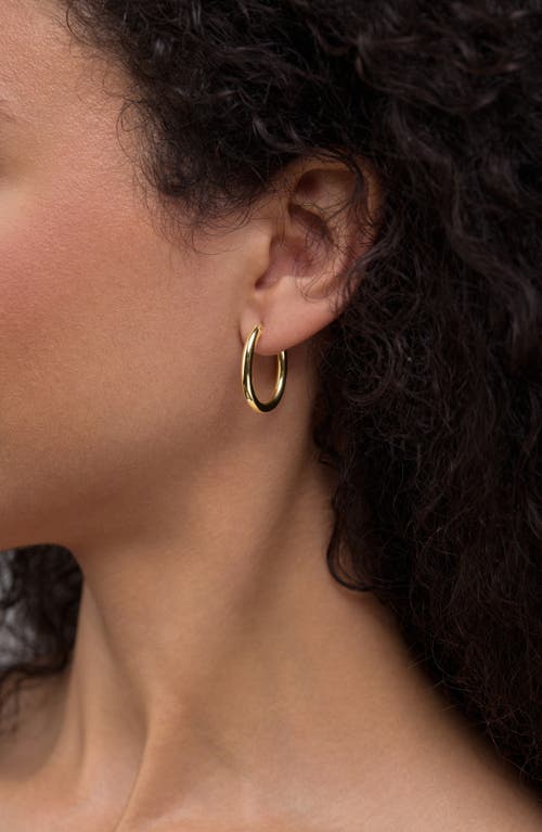 Bony Levy 14k Gold Thin Oval Hoop Earrings In Gold