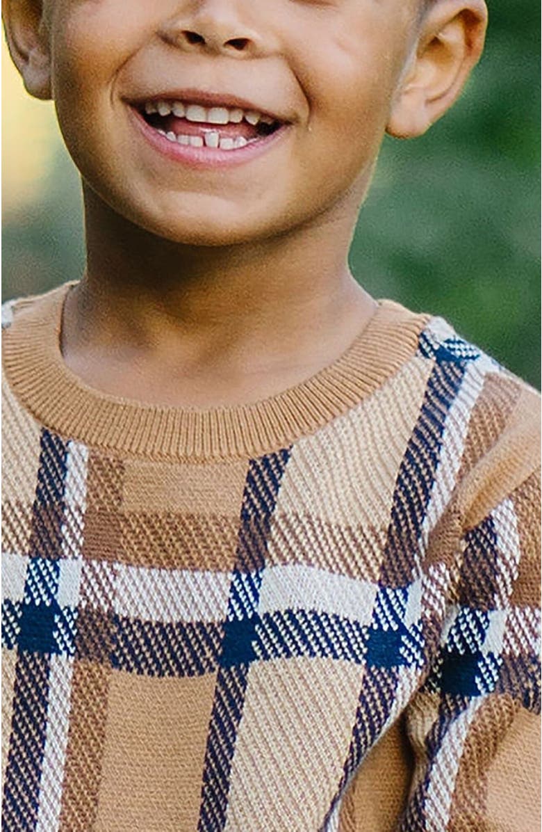 Hope & Henry Boys' Organic Intarsia Crew Neck Sweater, Kids, Alternate, color,