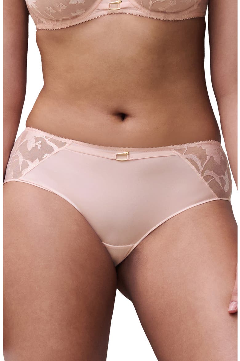 Idyll Embroidered Tulle & Microfiber Hipster Briefs, Main, color, TAFFETA PINK