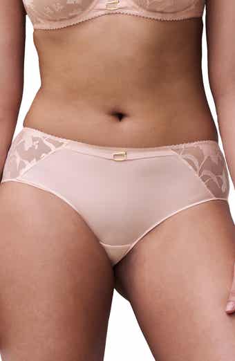 Idyll Embroidered Tulle & Microfiber Hipster Briefs
