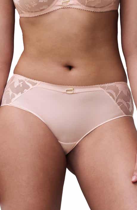 Idyll Embroidered Tulle & Microfiber Hipster Briefs