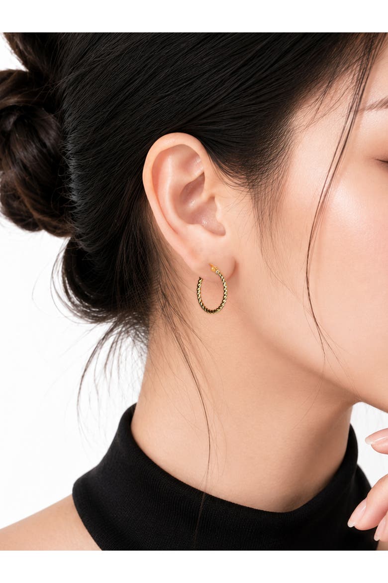 Twisted Rope Hoop Earrings in 14K Gold, Alternate, color, Yellow Gold