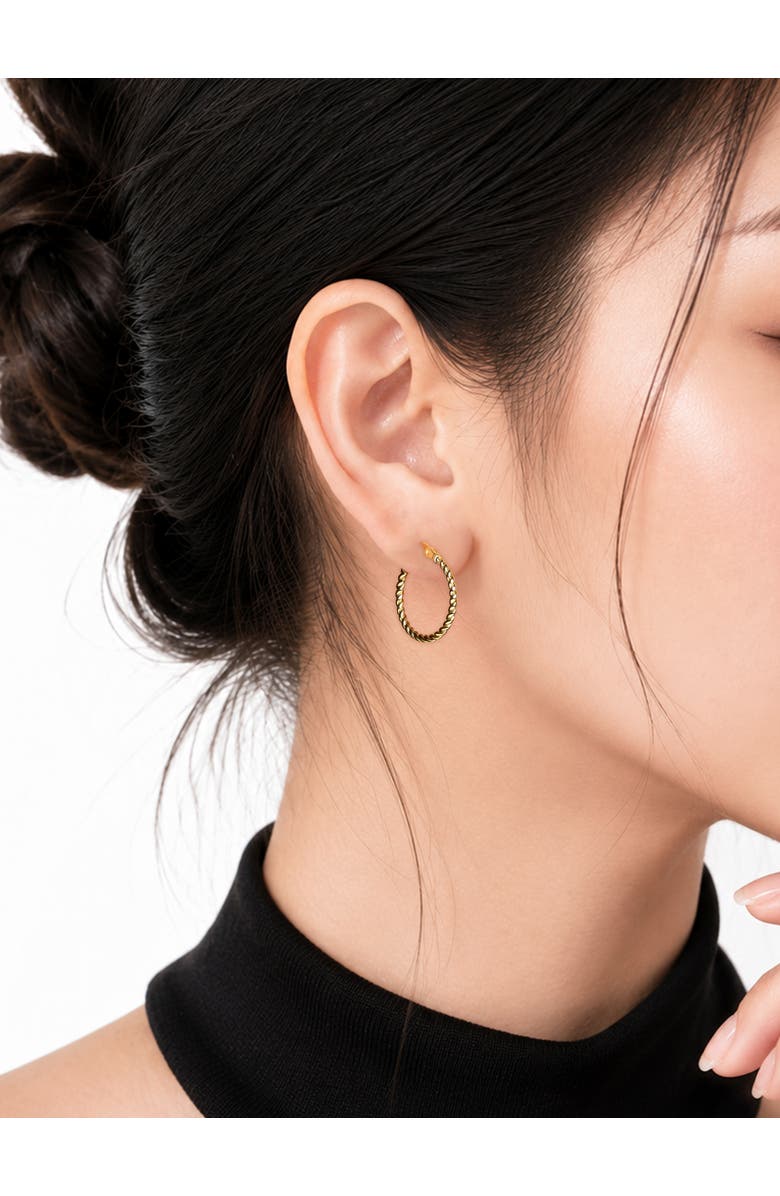 DEVATA Twisted Rope Hoop Earrings in 14K Gold, Alternate, color, Yellow Gold