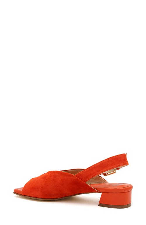 Amalfi By Rangoni Balista Slingback Sandal In Carrot Cashmere