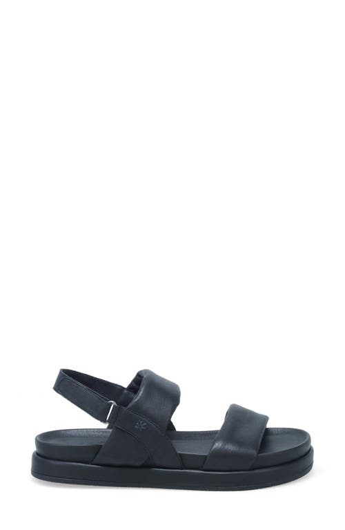 Miz Mooz Toto Sandal In Black