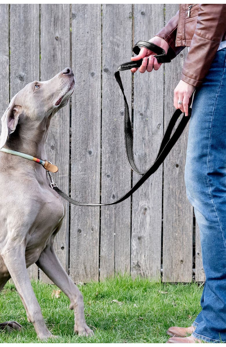 Puppington Reflective Leash, Alternate, color, 