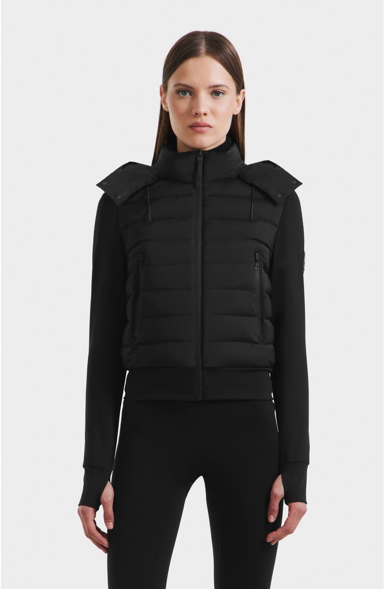 Rudsak Cassa Light Down & Neoprene Crop Jacket, Main, color, Black