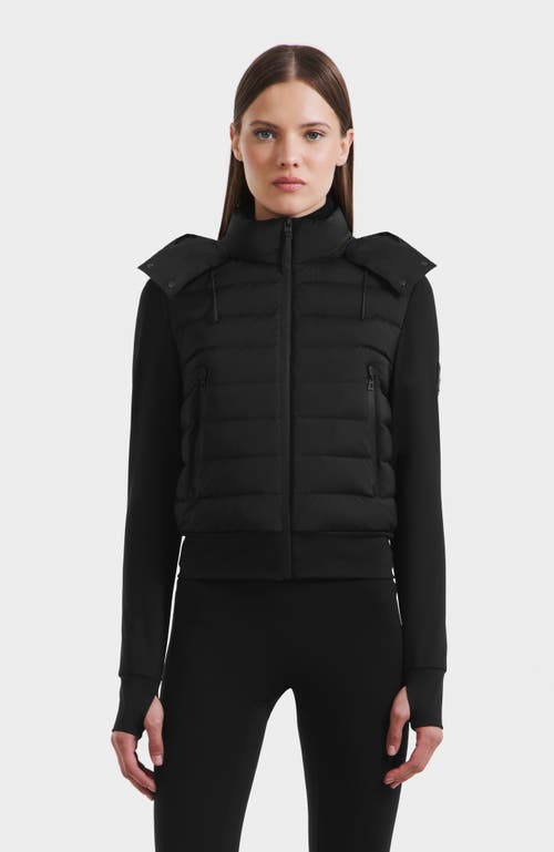 Rudsak Cassa Light Down & Neoprene Crop Jacket In Black
