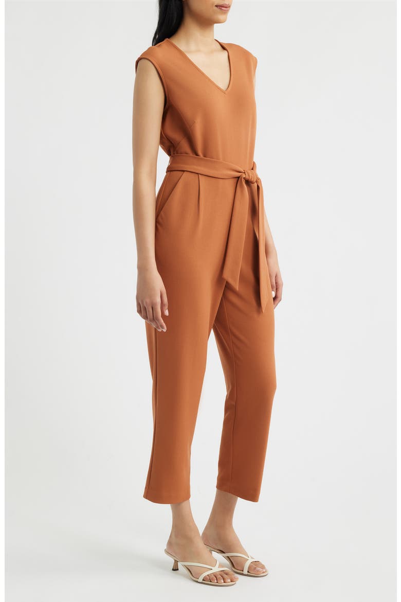 V-Neck Jumpsuit, Alternate, color, CEDAR SPICE