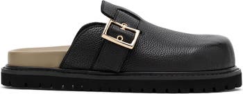 Shiloh Mule