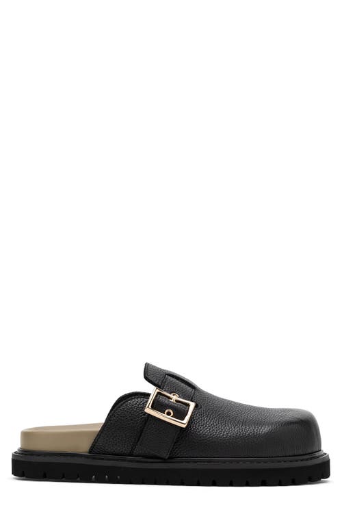 MARC NOLAN MARC NOLAN SHILOH MULE 