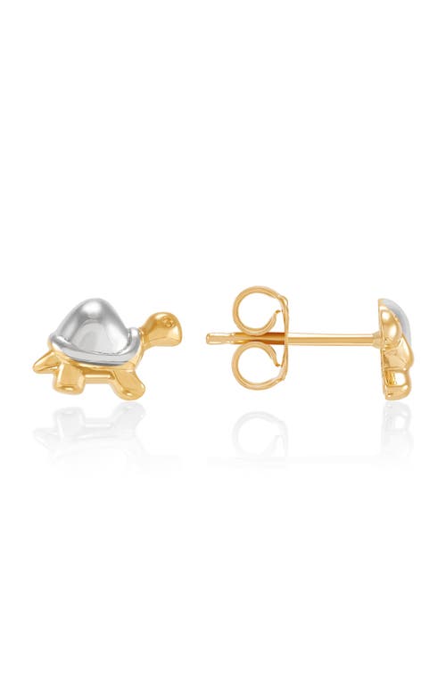 Frankie & Zoe Turtle Stud Earrings In Gold
