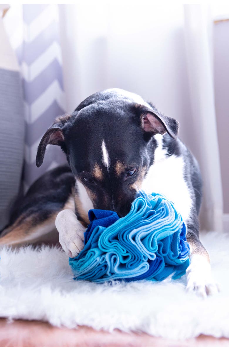 Puppington Pupper Snuffle Ball for Dogs, Alternate, color, Blue