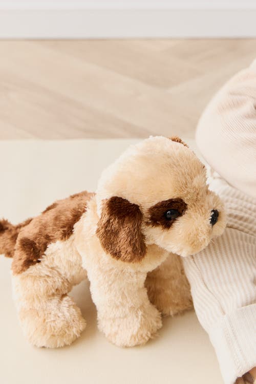 Snuggle Bunnies Stuffed Animal Coco The Shih Tzu In Sand