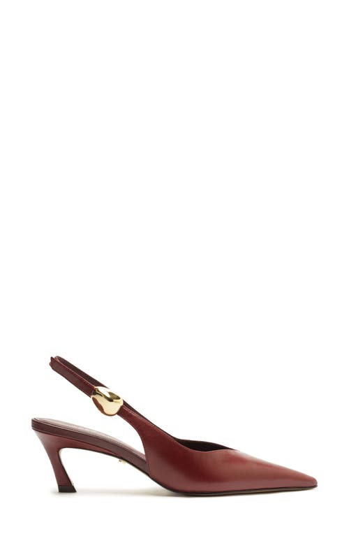 Arezzo Farrah Slingback Pointed Toe Pump In Burgundy