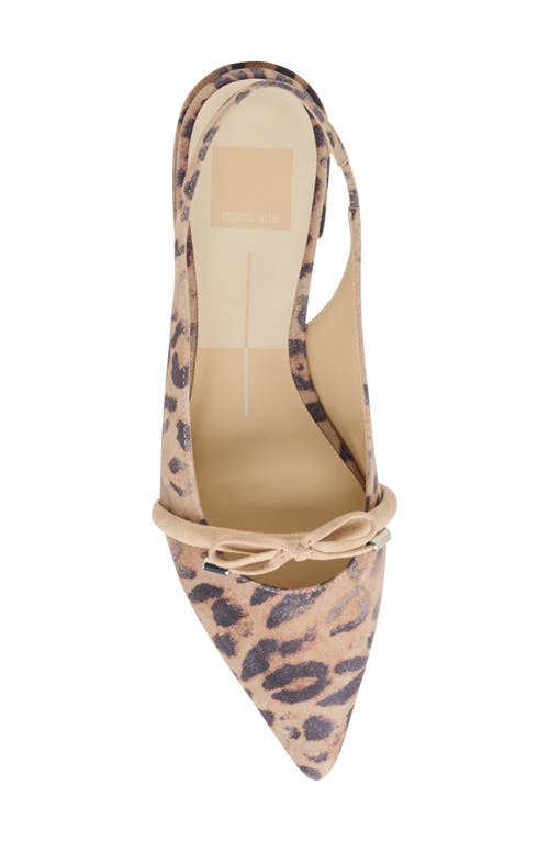 Dolce Vita Payge Pointed Toe Slingback Pump In Light Leopard Suede