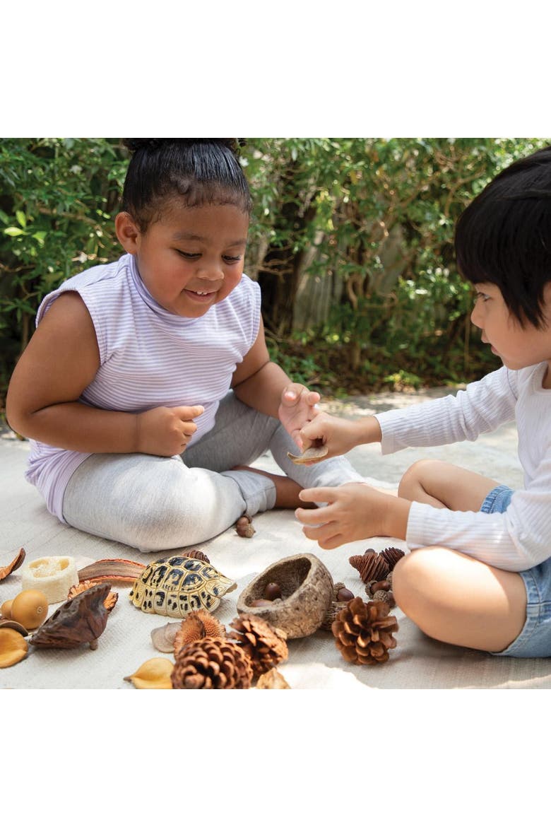 Nature's Geometry Loose Parts STEM Kit, Alternate, color, Multicolored