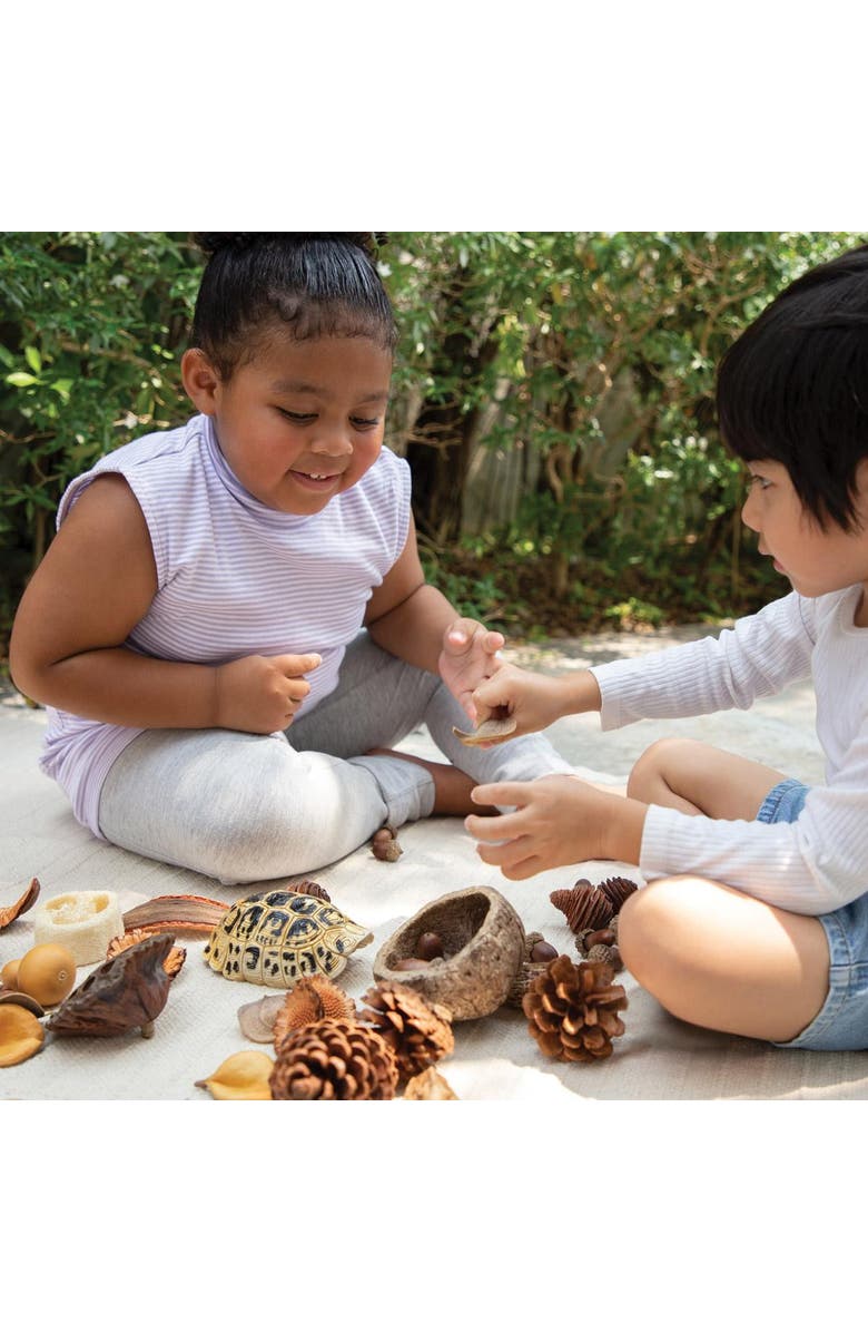 Kaplan Early Learning Company Nature's Geometry Loose Parts STEM Kit, Alternate, color, Multicolored