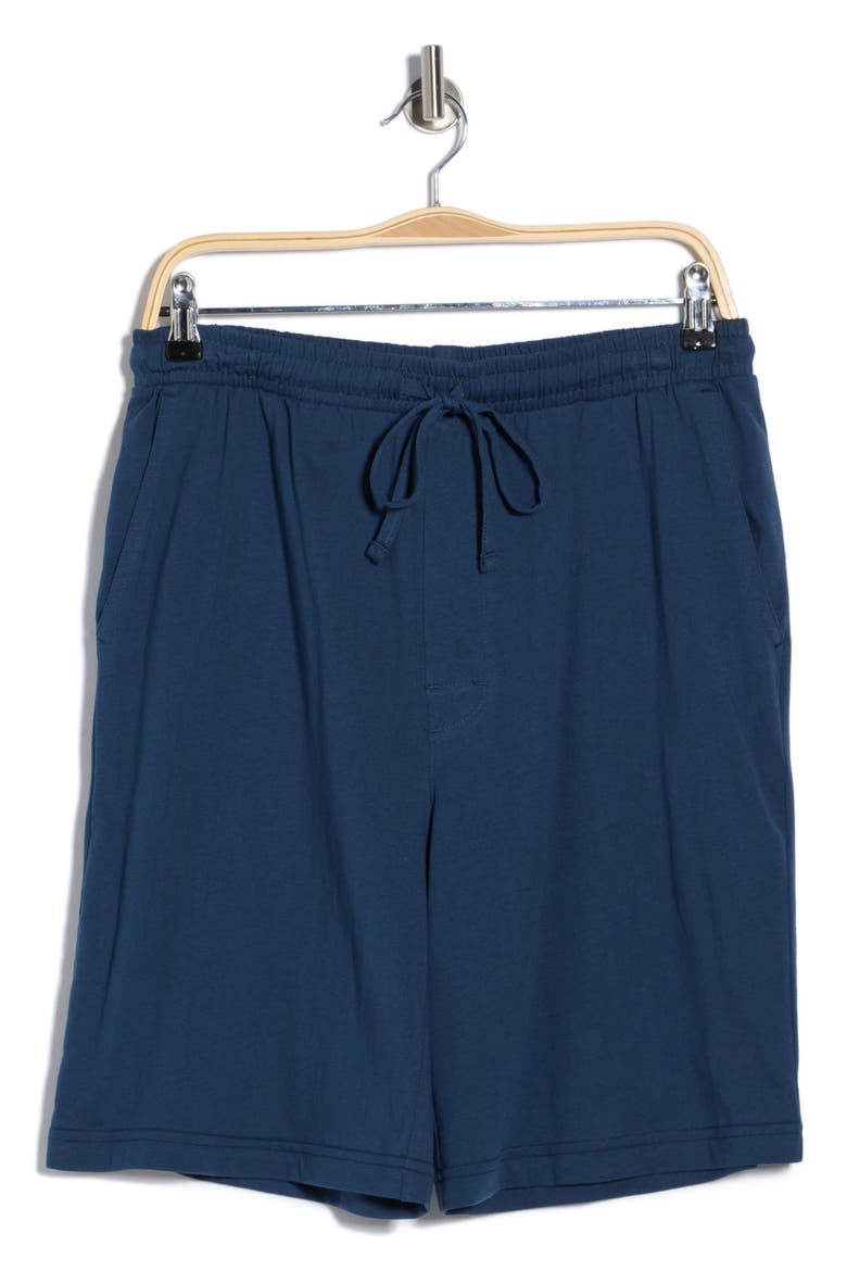 Cotton Jersey Pajama Shorts, Alternate, color, SKY BLUE