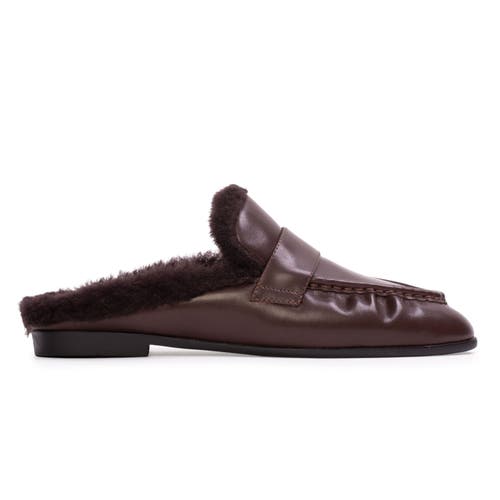 Black Suede Studio Theo Backless Loafer In Brown