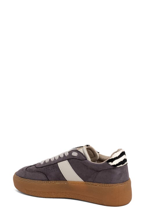 Shushop Stacey Platform Sneaker In Multi