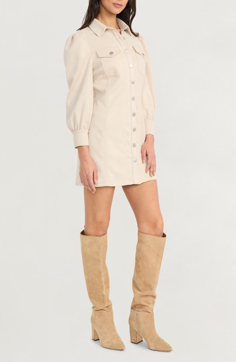 The Good Journey Long Sleeve Faux Suede Minidress, Alternate, color, French Oak