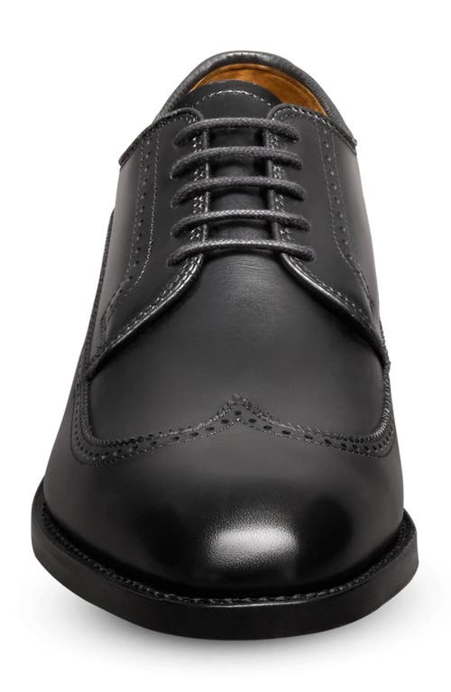 Allen Edmonds Winston Wingtip Derby In Black