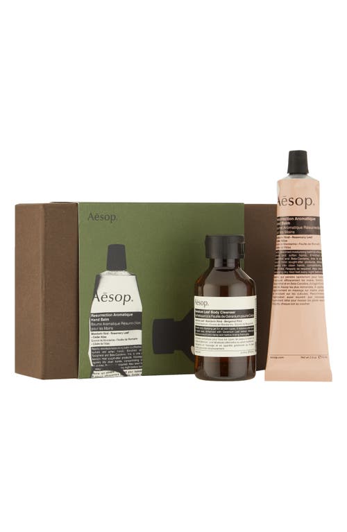 Aesop Greetings In Transparent