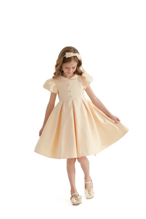 Tulleen Barrymore Teacup Buttoned Dress In Champagne