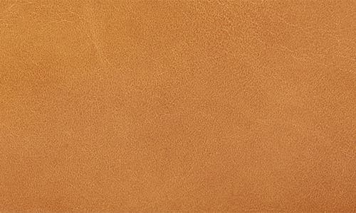 Hobo Cara Leather Crossbody Bag In Brown