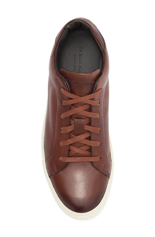 To Boot New York Pullman Sneaker In Cognac