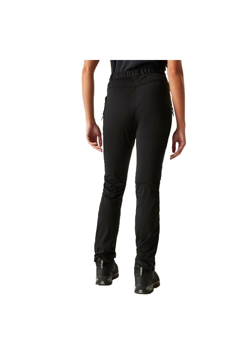 Assert Hiking Trousers, Alternate, color, Black