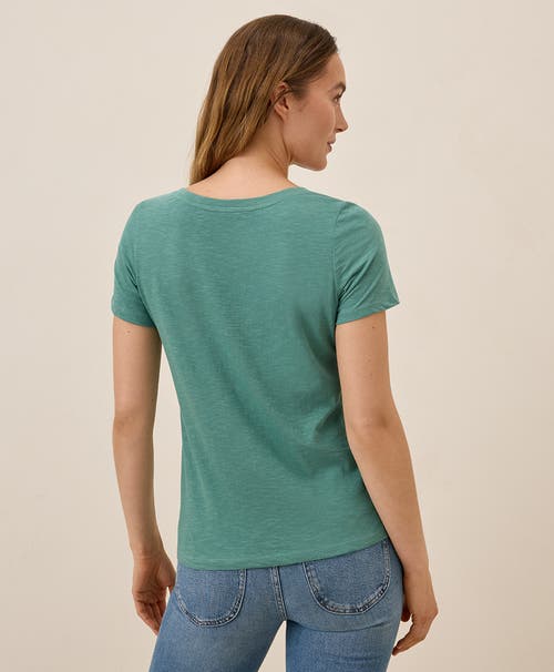 Pact Organic Cotton Featherweight Slub V-neck Tee