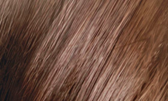 6 DARK BLONDE