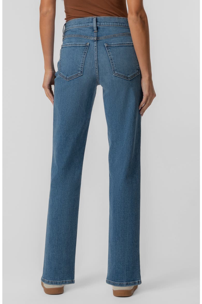 Avery Fab Ab Slim Straight Leg Jeans, Alternate, color, WHOLLY