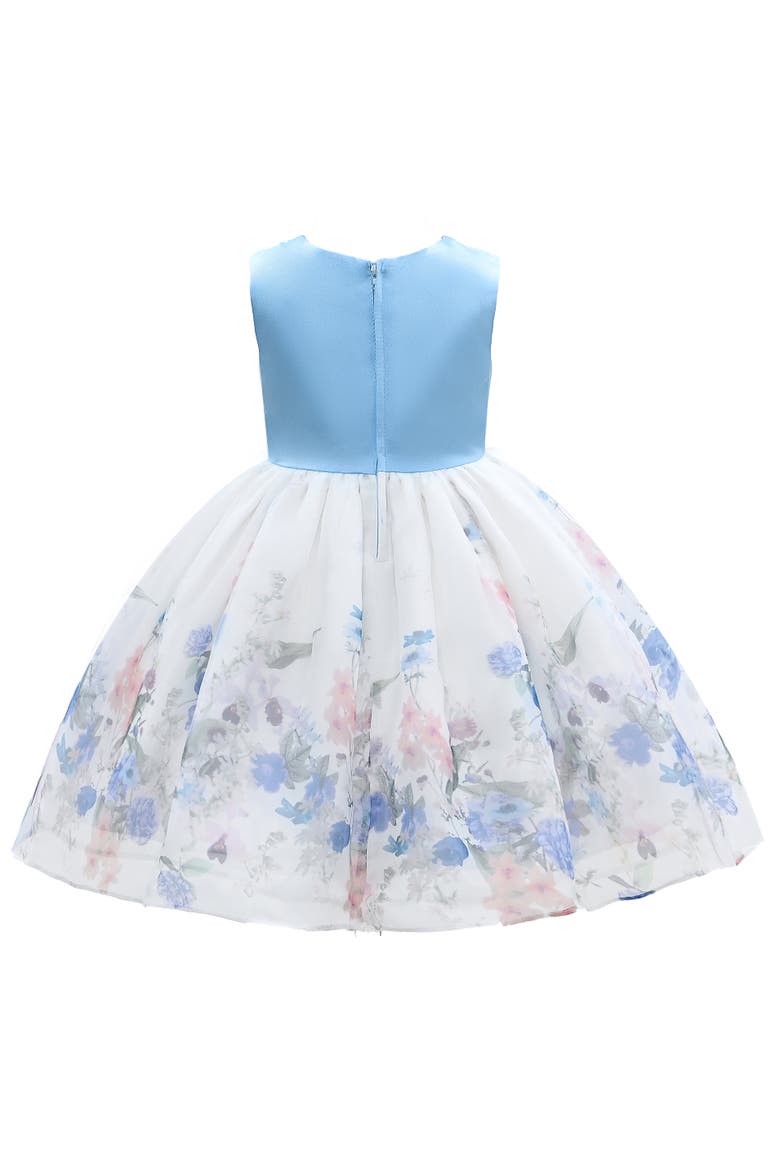 Mabel Floral Garden Organza Dress, Alternate, color, Blue