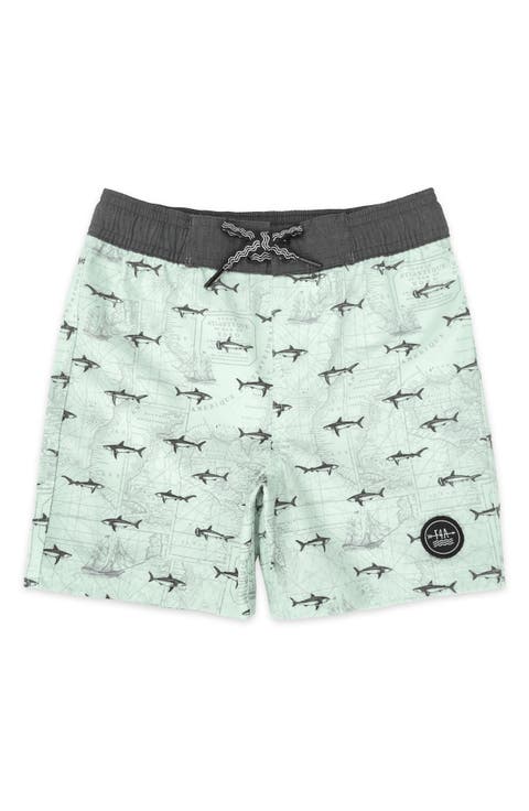 Kids' Classic Fish Print Board Shorts (Little Kid)