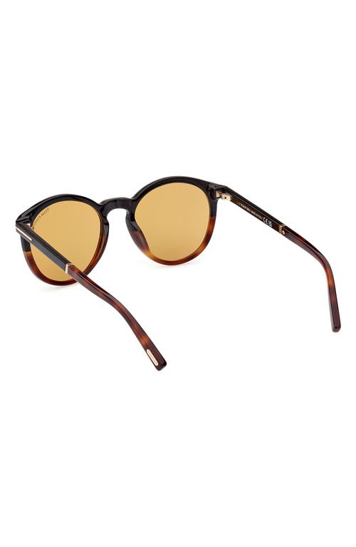 Tom Ford 51mm Gradient Round Sunglasses In Havana/amber