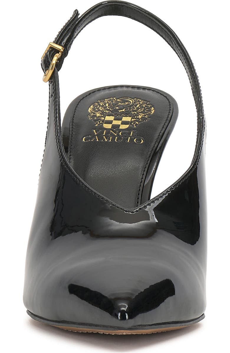 Vince Camuto Meristi Slingback Pointed Toe Wedge Pump, Alternate, color, Black