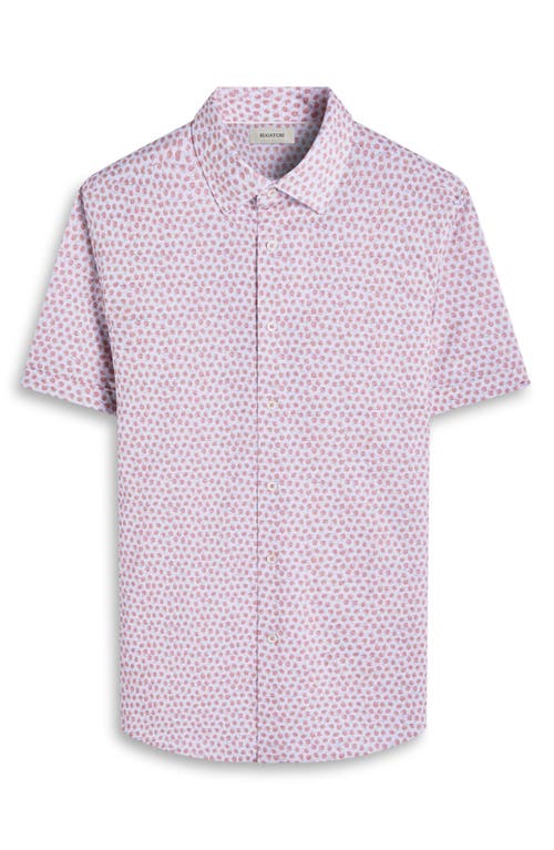 Bugatchi Miles Ooohcotton® Floral Short Sleeve Button-up Shirt In Papaya