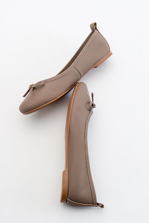 Forever & Always Shoes Florence Leather Ballerina Flats In Milk Brown Leather