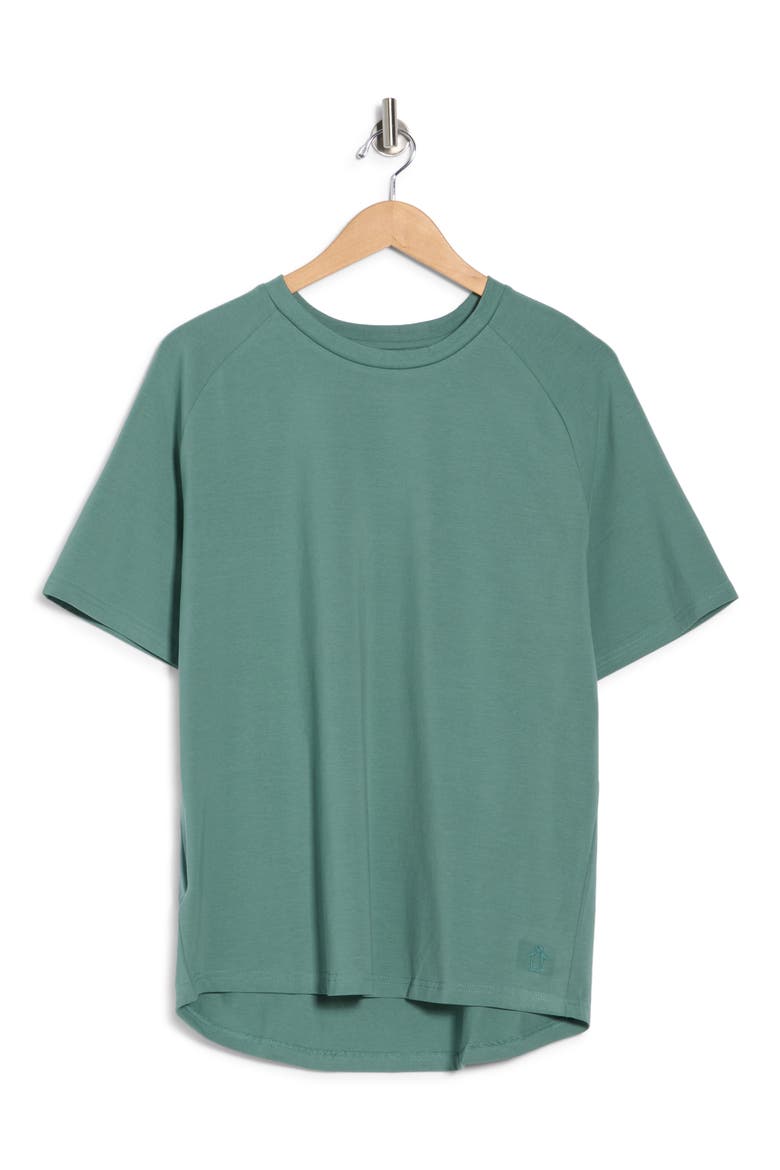 Short Raglan Sleeve T-Shirt, Alternate, color, TRAINING SAGE