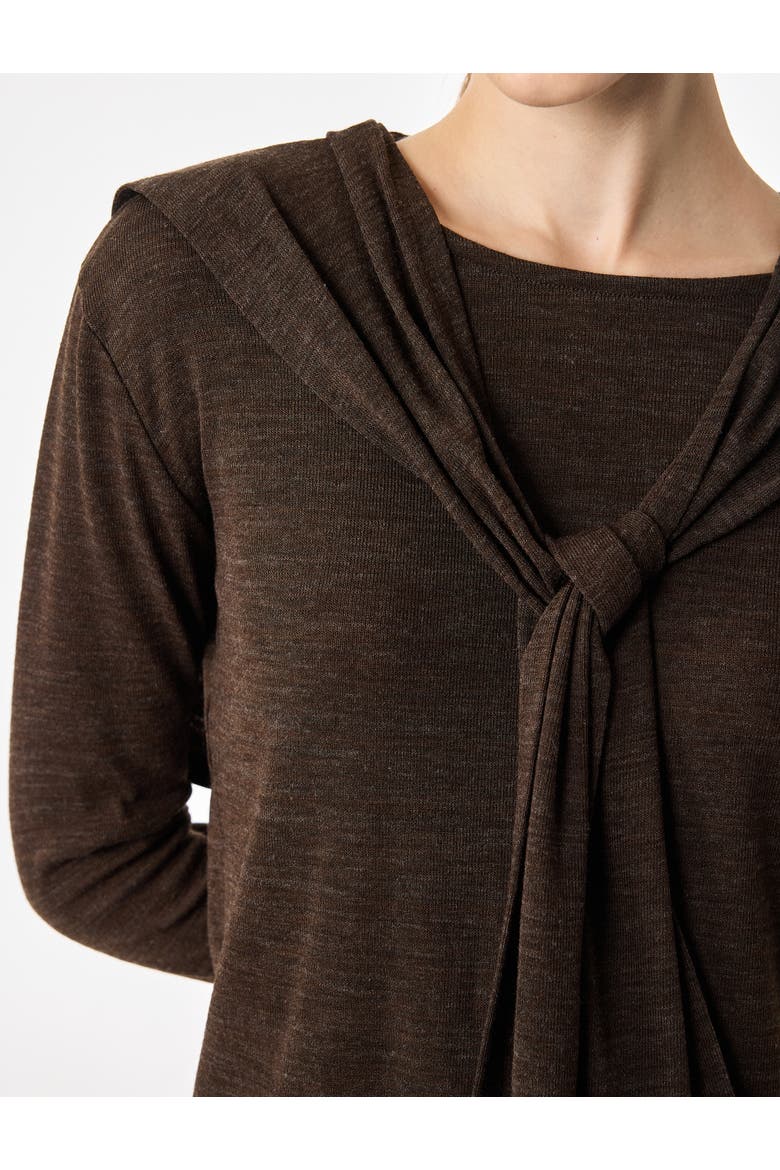 Long Sleeve Tie-Front Shawl Collar Top, Alternate, color, BROWN