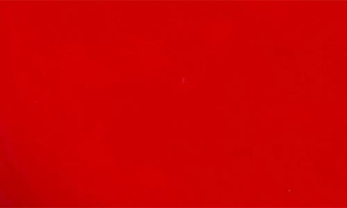 Doiy Tomato Trinket Tray In Red