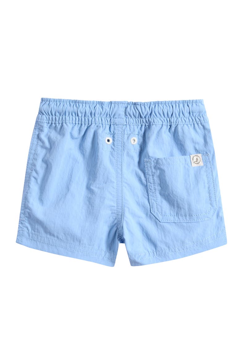 Swim Trunks, Alternate, color, BLUE