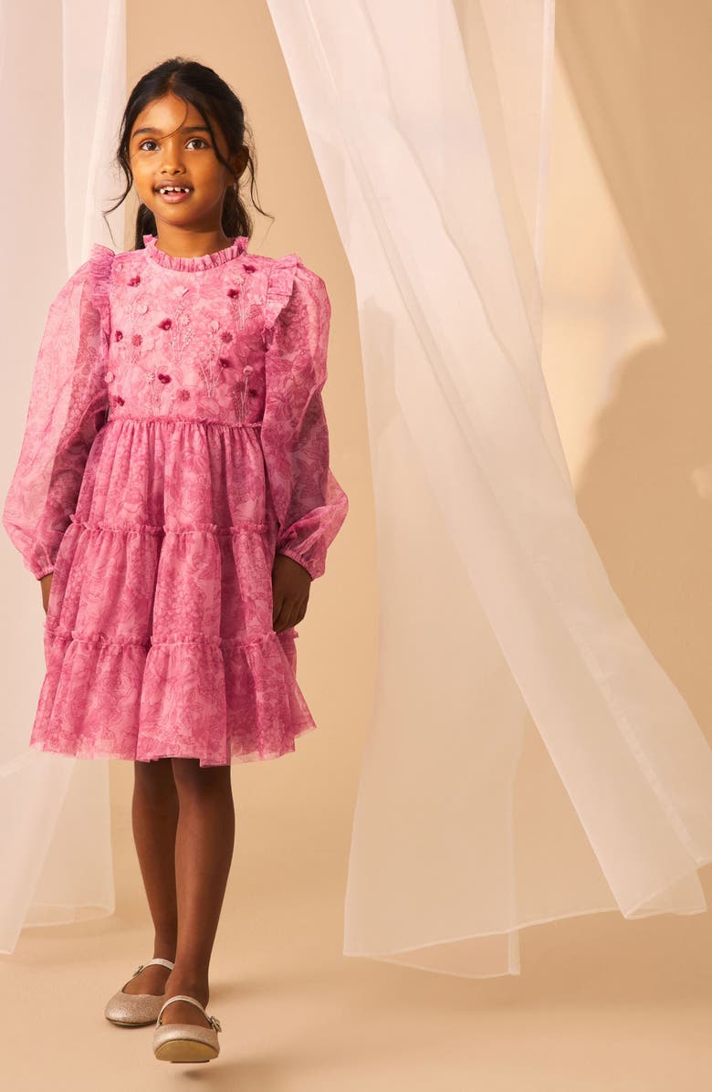 Laura Ashley Kids' Embroidered Ruffle Long Sleeve Tiered Mesh Dress, Alternate, color, Pink
