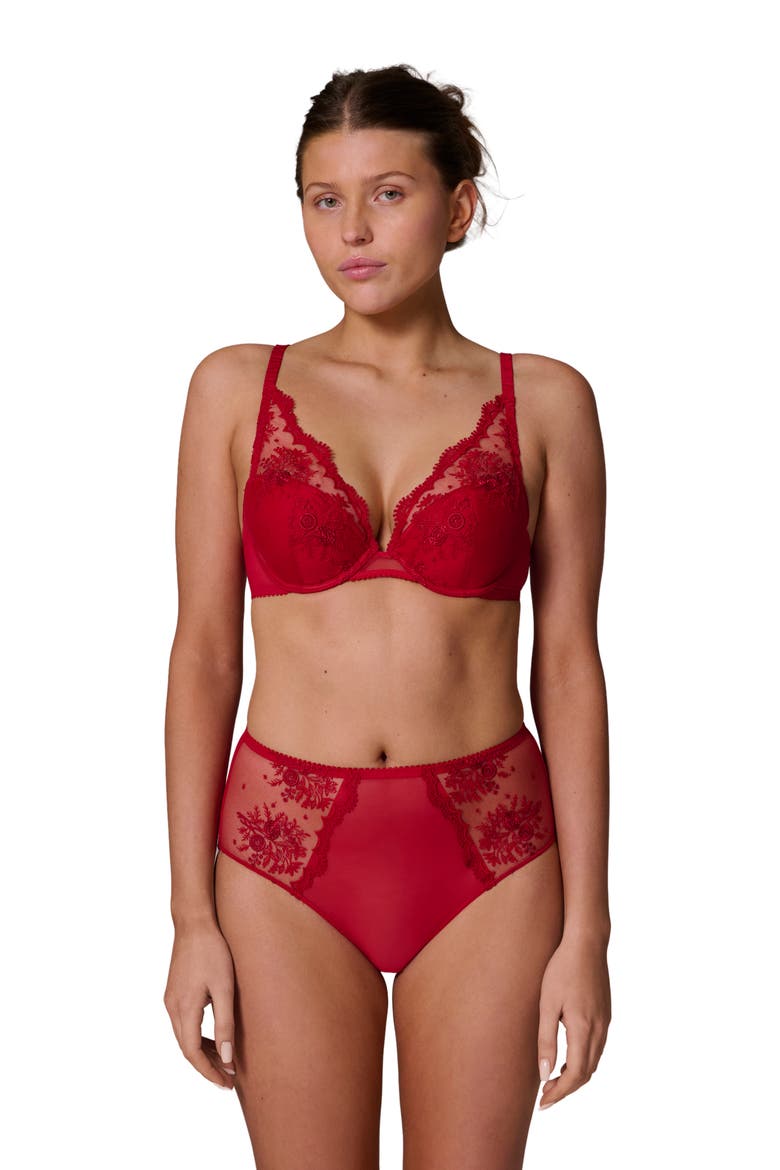 Intrigue Floral Embroidered Briefs, Alternate, color, OPERA RED