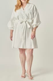 Endless Rose Tie Waist Mini Shirtdress