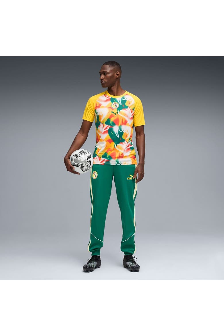 Men's Puma Yellow Senegal National Team Pre-Match Jersey, Alternate, color, Yellow